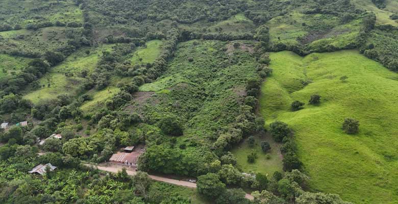 Terreno