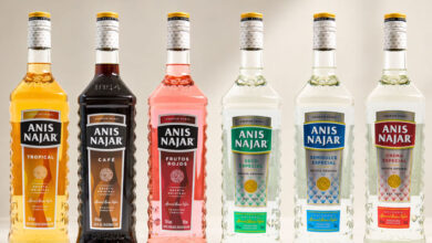Anis Najar